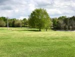 ArrowSmith Grass and Windmill Mar 2017.jpg