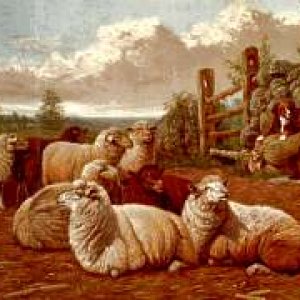 Folkart Sheep