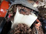 SquirrelNuts-Husqvarna2.jpg SquirrelNuts-Husqvarna2.jpg