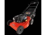 bad boy push mower.jpg