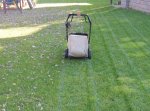 mowing.jpg mowing.jpg