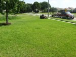 lawn 013.jpg lawn 013.jpg