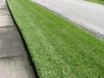lawn 031.jpg lawn 031.jpg