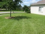 lawn 016.jpg lawn 016.jpg
