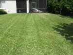lawn 025.jpg lawn 025.jpg