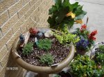 Gardens 2010 050 (Small) (Custom).jpg