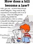 howcongressworks.jpg