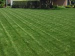 lawn 6.jpg lawn 6.jpg