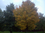 image-2042345163.png