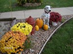 Gardens 2009 056 - Copy.jpg