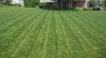 lawn.jpg lawn.jpg