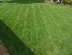 lawn 3.jpg lawn 3.jpg