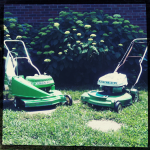 image-3352313189.png