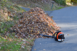 leaf pile 1.PNG