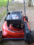 image-2786807984.png