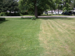 ForumRunner_20110601_205242.png