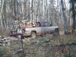 getting firewood 2010 021.jpg