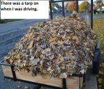 leaf trailer.PNG leaf trailer.PNG