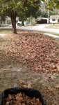 ForumRunner_20151109_182308.png