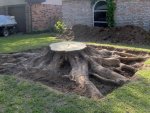 stump removal.jpg stump removal.jpg
