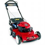 toro.jpg toro.jpg