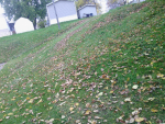 ForumRunner_20141112_083550.png ForumRunner_20141112_083550.png
