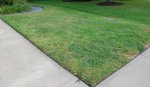 DSC_1721.jpg DSC_1721.jpg