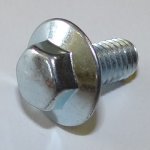 bolt wide head.JPG bolt wide head.JPG