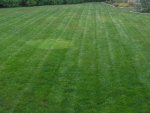 lawn stripes.jpg