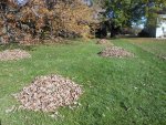 DSCN1770.jpg DSCN1770.jpg