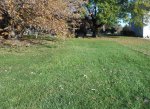 DSCN1780.jpg DSCN1780.jpg