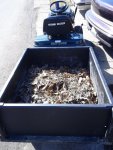 IMG_20130328_161535.jpg