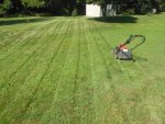 lawn 5.jpg lawn 5.jpg