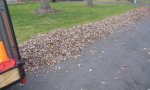 leaf cleanup 1.jpg