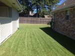 HR215_Striping.jpg HR215_Striping.jpg