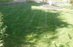 lawn 1.jpg lawn 1.jpg