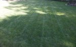 lawn 2.jpg lawn 2.jpg
