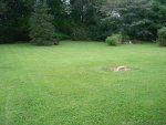 DSC03611.jpg