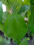 image-3112388.png