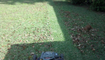 ForumRunner_20130414_165811.png ForumRunner_20130414_165811.png