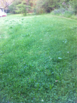 image-751221508.png