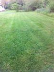 image-3939137001.png