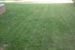 lawn 2.jpg
