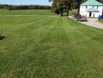 image-2635051319.jpg