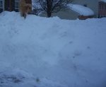 100_5072 - Copy (2).jpg