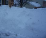 2011 snow 1.jpg