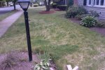 Front Yard 1.jpg Front Yard 1.jpg