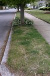Sidewalk.jpg Sidewalk.jpg