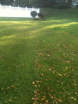 image-2158801299.png