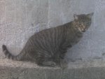 BB pics 2011 191.jpg